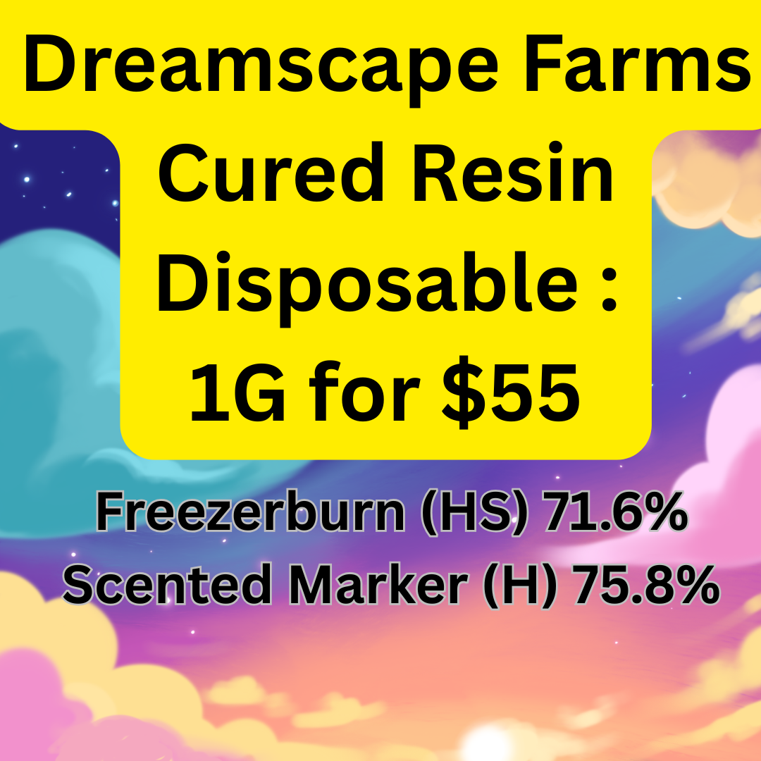 Dreamscape Farms cured resin disposable, 1G for $55